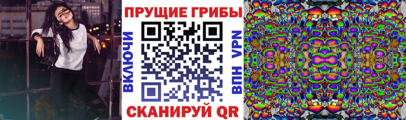 Галлюциногенные грибы прущие грибы  Мурманск 