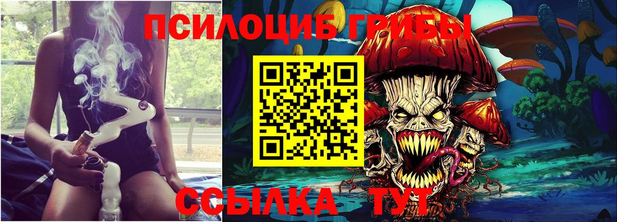 Мурманск  Галлюциногенные грибы MAGIC MUSHROOMS  Вход с VPN 